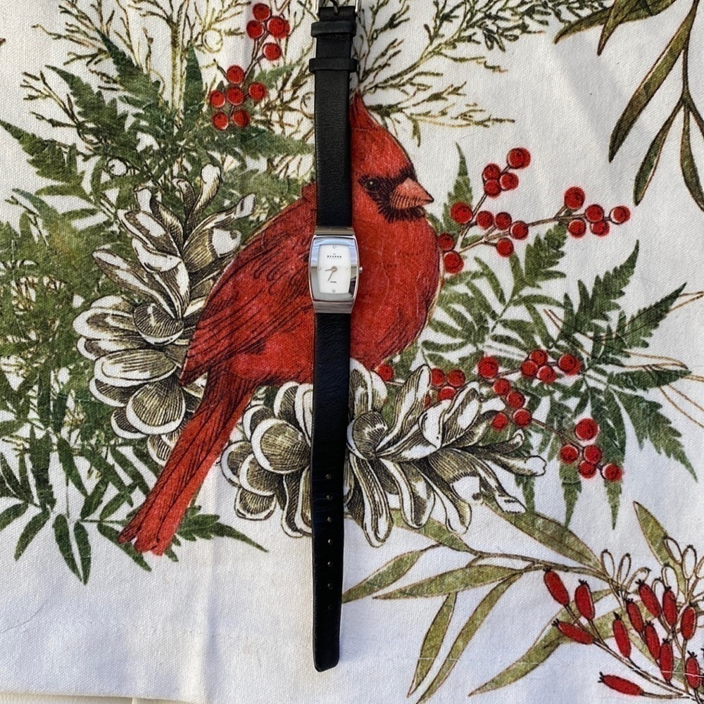 Skagen watch